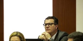 Flores. Incapacidade do governo impede agricultores de exportar gado