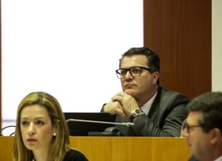 Flores. Incapacidade do governo impede agricultores de exportar gado