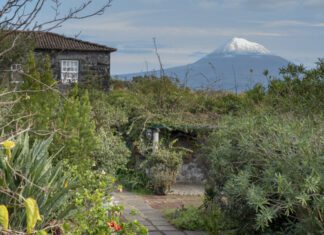 “Casas Açorianas” associam-se às comemorações do Dia Mundial do Turismo DR