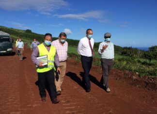 Setor agrícola – Faial apresenta crescimento de 19 % na exportação de carne de bovino DR/GACS