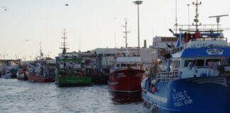 Comissão Europeia – Governo propõe aumento de 5% da quota de goraz e das quotas de voador e rabilho DR
