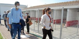BE acusa Governo Regional de fazer campanha descarada pelo PS à maneira “jardinista” DR/BE