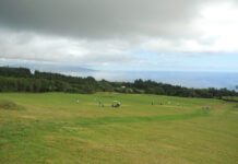 II ENCONTRO DE GOLFE – FAIAL 2020 Campo de Golfe do Salto Furado acolhe dois torneios DR