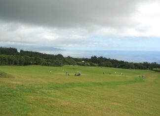 II ENCONTRO DE GOLFE – FAIAL 2020 Campo de Golfe do Salto Furado acolhe dois torneios DR
