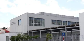 Queixas sobre refeições escolares levam a intervenção da tutela DR/CDU Faial