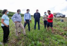 Bolieiro defende política fiscal favorável às produções agrícolas regionais DR/PSD