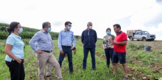 Bolieiro defende política fiscal favorável às produções agrícolas regionais DR/PSD
