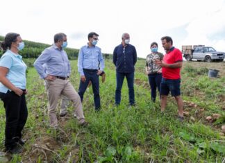 Bolieiro defende política fiscal favorável às produções agrícolas regionais DR/PSD