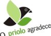 Candidaturas à Marca Priolo abertas até 30 de setembro DR