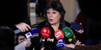 Socialista Ana Gomes anuncia hoje publicamente a sua entrada na corrida a Belém