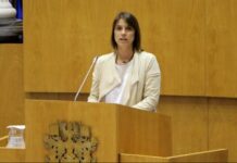 Em resposta às consequências da guerra na economia, CDS-PP Açores defende maior autossuficiência alimentar e energética nos Açores