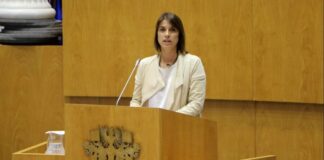 Em resposta às consequências da guerra na economia, CDS-PP Açores defende maior autossuficiência alimentar e energética nos Açores