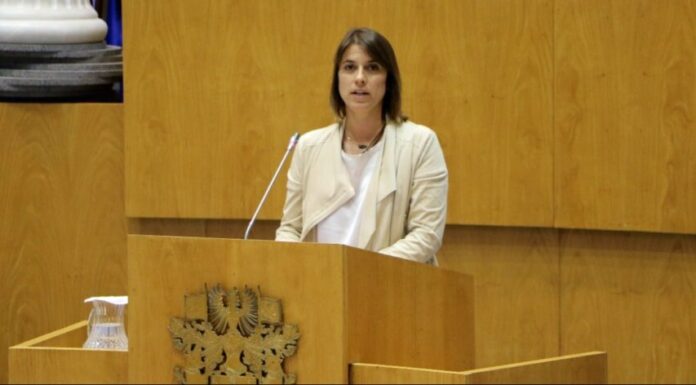 Em resposta às consequências da guerra na economia, CDS-PP Açores defende maior autossuficiência alimentar e energética nos Açores