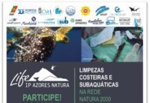 Ambiente – Voluntários ajudam em ação de limpeza marinha da costa do Faial DR/DRAM