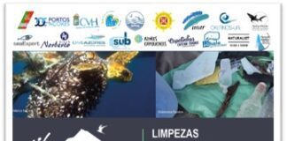 Ambiente – Voluntários ajudam em ação de limpeza marinha da costa do Faial DR/DRAM