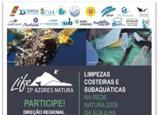 Ambiente – Voluntários ajudam em ação de limpeza marinha da costa do Faial DR/DRAM