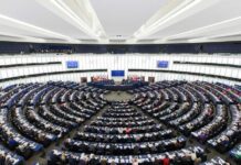 PE aprova taxas reduzidas para rum, licores e aguardentes de Açores e Madeira