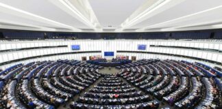 PE aprova taxas reduzidas para rum, licores e aguardentes de Açores e Madeira