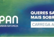 PAN/Açores quer criar a Polícia Regional Açoriana já em 2021