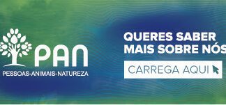 PAN/Açores quer criar a Polícia Regional Açoriana já em 2021