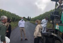 Governo dos Açores investe mais 4,5 ME em infraestruturas agrícolas na ilha de São Miguel nesta legislatura DR/GACS
