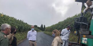 Governo dos Açores investe mais 4,5 ME em infraestruturas agrícolas na ilha de São Miguel nesta legislatura DR/GACS