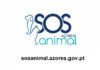 Governo Regional disponibiliza plataforma online ‘SOS Animal Açores’ para agilizar denúncias de maus tratos DR/GACS
