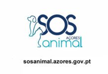 Governo Regional disponibiliza plataforma online ‘SOS Animal Açores’ para agilizar denúncias de maus tratos DR/GACS