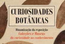 Museu de Angra do Heroísmo promove visita guiada do Jardim Duque da Terceira DR/GACS