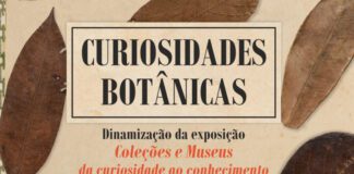Museu de Angra do Heroísmo promove visita guiada do Jardim Duque da Terceira DR/GACS