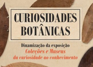Museu de Angra do Heroísmo promove visita guiada do Jardim Duque da Terceira DR/GACS