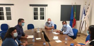 Flores – Bruno Belo defende uma estratégia séria para a Agricultura DR/PSD