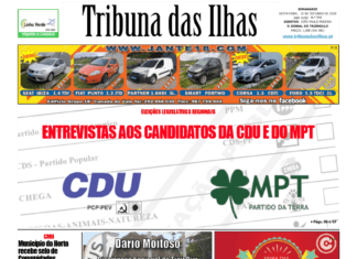 Capa da edição n.º 948 de 16 de outubro 2020 TI