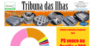 Capa da edição n.º 950 de 30 de outubro 2020 TI