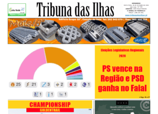 Capa da edição n.º 950 de 30 de outubro 2020 TI