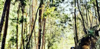 Penacova Trail – Faialense Dário Moitoso é bicampeão nacional DR
