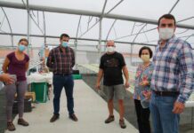 PS/Açores valoriza aposta na diversificação agrícola no Faial DR/PS