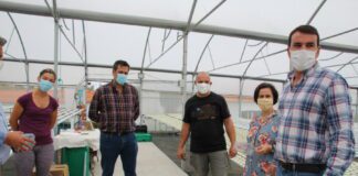 PS/Açores valoriza aposta na diversificação agrícola no Faial DR/PS