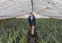 Bolieiro quer “ampliar” estratégia de certificação de produtos regionais