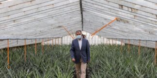 Bolieiro quer “ampliar” estratégia de certificação de produtos regionais