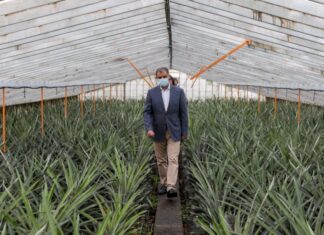 Bolieiro quer “ampliar” estratégia de certificação de produtos regionais