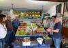 Aliança visitou o mercado Duque de Bragança DR/ALIANÇA