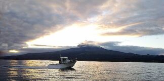 1.ª Jornada Internacional de Turismo Marítimo e Pesca-Turismo – Diretor Regional das Pescas realça importância da prática da atividade na Região