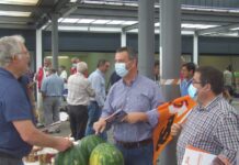 Agricultura – PSD quer avaliação dos preços do produtor ao consumidor final DR/PSD