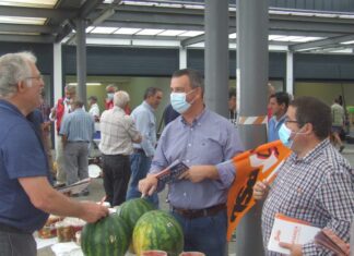 Agricultura – PSD quer avaliação dos preços do produtor ao consumidor final DR/PSD