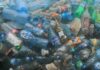Quase 230 mil toneladas de plástico deitadas fora anualmente no Mediterrâneo