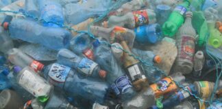 Quase 230 mil toneladas de plástico deitadas fora anualmente no Mediterrâneo