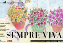 “Sempre vivas” – Ateliê de composição floral no MAH DR/DRC