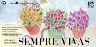 “Sempre vivas” – Ateliê de composição floral no MAH DR/DRC