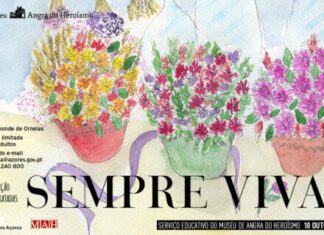 “Sempre vivas” – Ateliê de composição floral no MAH DR/DRC